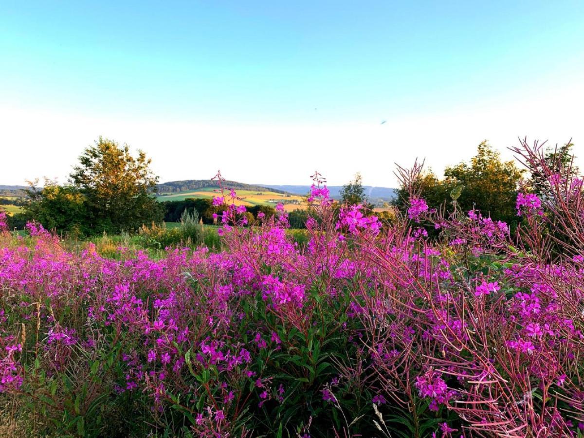 Villa Hainberg Rauschenbach ภายนอก รูปภาพ